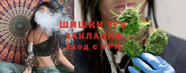 стафф Богородицк