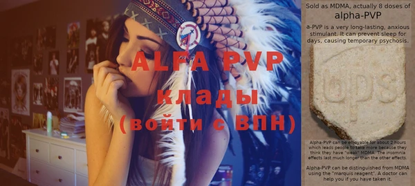 крисы Богданович